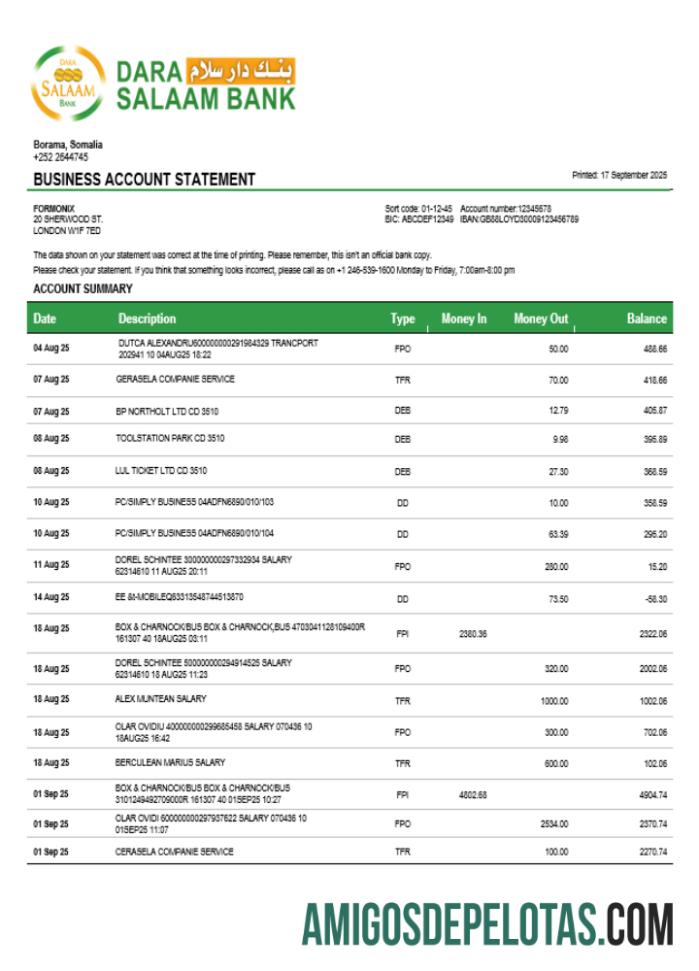 Baixável Somali Dara Salaam Bank Firm modelo de extrato de conta Word e PDF